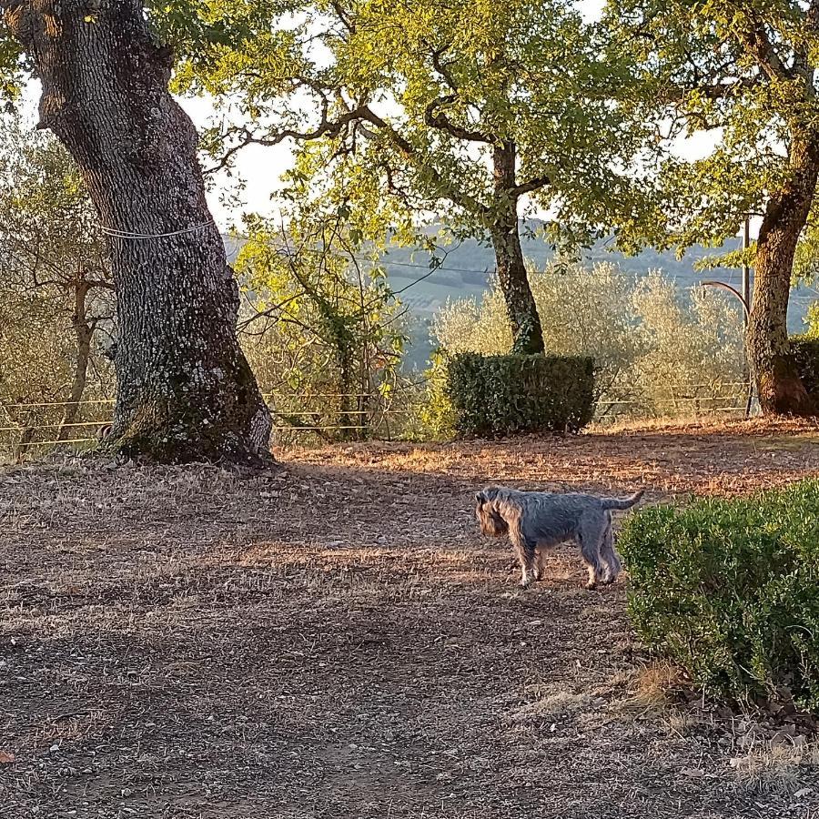 Vila Casanova Di Ricavo Gaiole in Chianti Exteriér fotografie